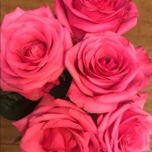 Meet your Posher, Brienne